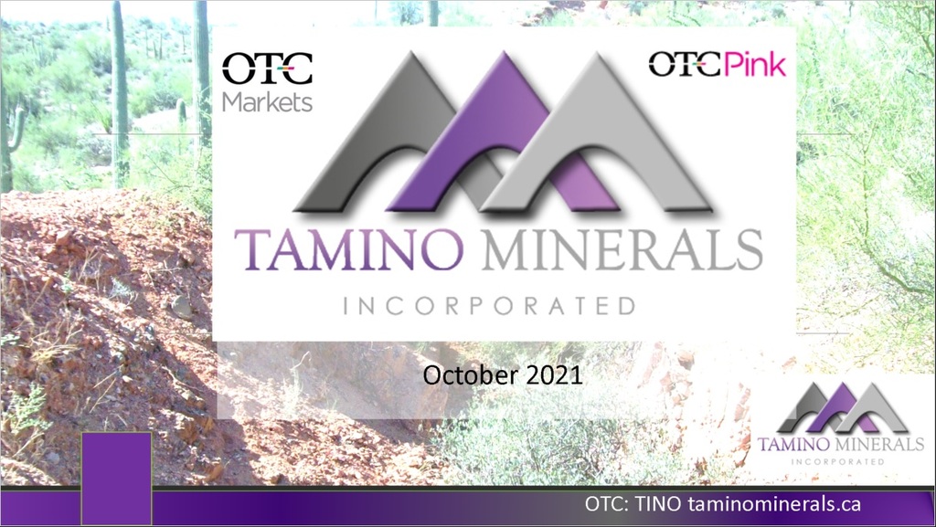 Tamino Presentation - November 2021 (EL Volcan update)